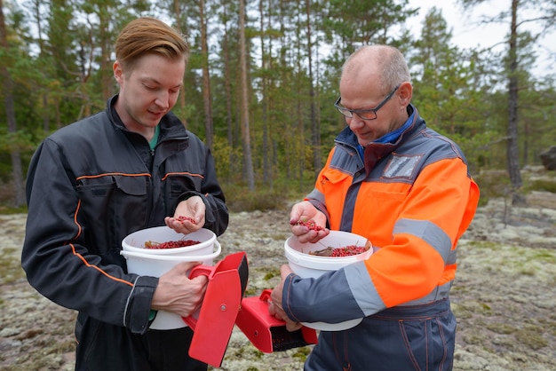 pakiet metoda wima hofa hof carney jong mckeown
