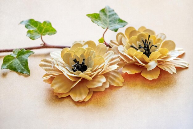 zhuangzi prawdziwa ksiega poludniowego kwiatu