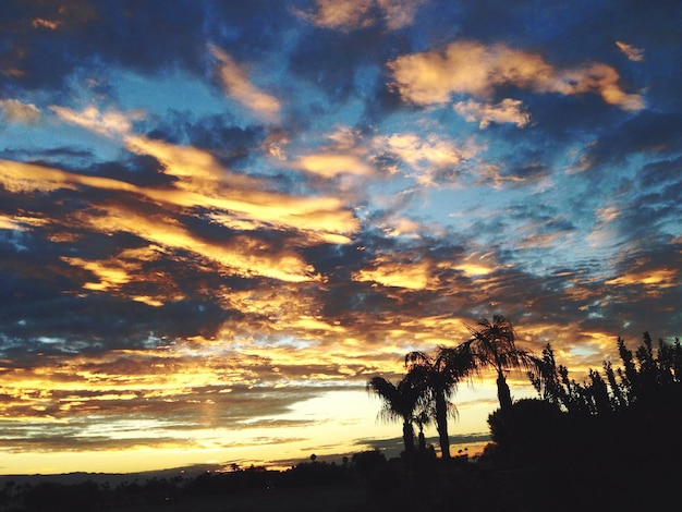 Awans w wojsku co ile lat jest realny?